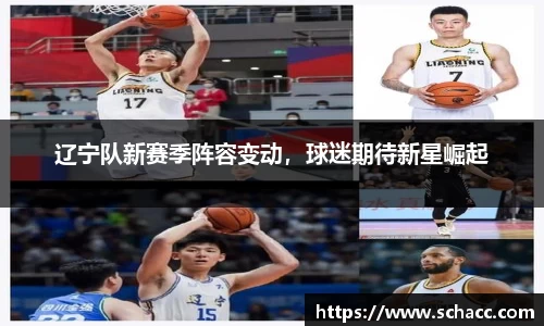 辽宁队新赛季阵容变动，球迷期待新星崛起