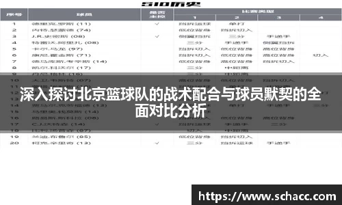 深入探讨北京篮球队的战术配合与球员默契的全面对比分析