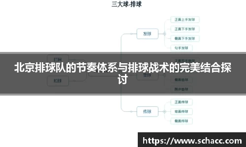 北京排球队的节奏体系与排球战术的完美结合探讨